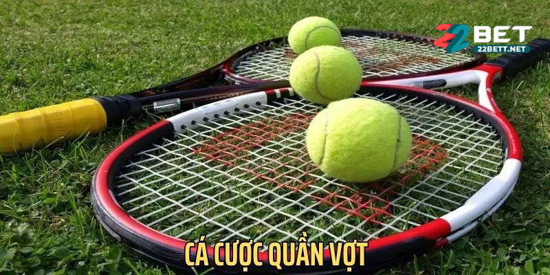Hướng Dẫn Cơ Bản Cho Người Mới Bắt Đầu Chơi Quần Vợt